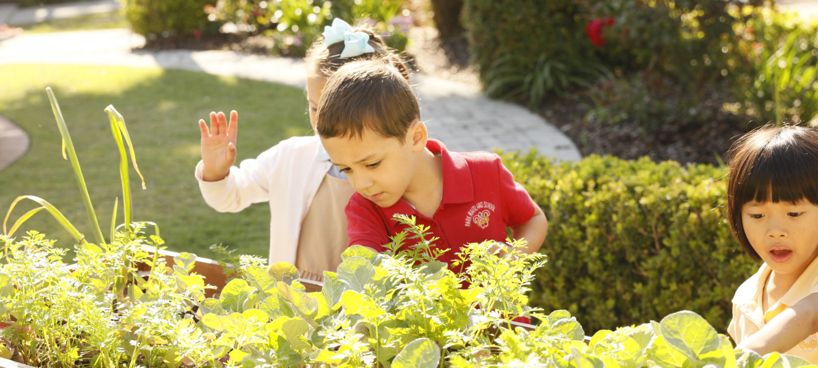 Park Maitland Kids Gardening